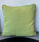 Spring Green Pottery Barn Throw Pillow