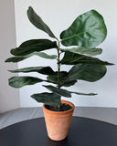 Artificial Fiddle Leaf Tree in Terracotta Pot