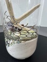 Blown Glass Terrarium Vase with Nautical Accents