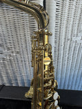 Trevor James & Co. The Horn Revolution Alto Saxophone with Accessories in Hard Case