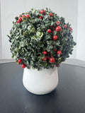 Small Faux Holly Berry Boxwood in White Ceramic Pot