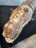 Sunny & Co. Large Plush Alligator