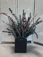 Dried Eucalyptus Arrangment in Faux Black Leather Bin