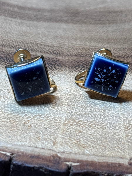 Blue Screw-On Earrings