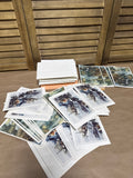 Wildlife Scenery Card Lot (A)