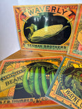 The Metropolitan Museum Of Arts Canning Label Laminated Placemats - Set Of 4