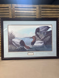 Canvas Backed Duck Print by John James Audubon