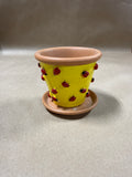 Dept 56 Terra Cotta Style Planter With Lady Bugs