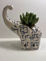 Elephant with Artificial Succulent