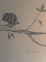 Raccoon & Owls Print by Peter Parnell; Signed & Numbered (217/1500)