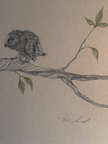 Raccoon & Owls Print by Peter Parnell; Signed & Numbered (217/1500)