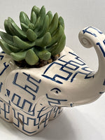 Elephant with Artificial Succulent