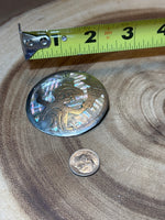 Sterling & Abalone Pin/Pendant