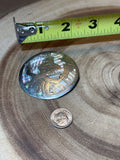 Sterling & Abalone Pin/Pendant