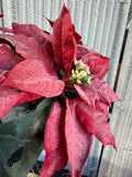 Faux Poinsettia Chistmas Topiary