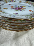 12-Piece Schumann Germany Empress Dresden Flowers Dinner Plate Set