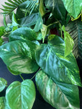 Artificial Greenery Arrangement in Red Ceramic Pot