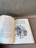 Andersens Fairy Tales Book