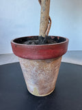 Artificial Lemon Tree in Resin Pot