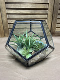 Hexagon Terrarium With Faux Succulents