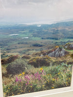 Photo of Ireland Landscape