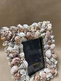 Seashell Picture Frame