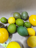 Lot Of Artificial Lemons And Limes