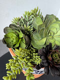Faux Succulent Arrangement in Terracotta Pot with Blue & White Design