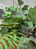 Faux Greenery Arrangement in Italian Terra Cotta Pot