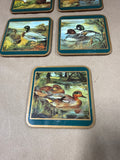Pimpernel Duck Coasters - Set Of 5