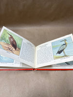 (A) Assorted Lot Of Bird Books