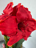 Faux Amaryllis Arrangement in Cream Ceramic Pot