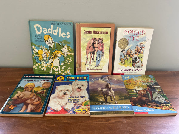 Children's Fiction Book Lot N, 7 books