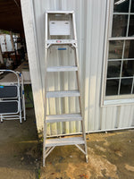 Werner 6' Ladder