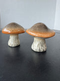Ceramic Mushroom Salt & Pepper Shakers