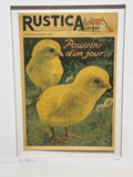 Vintage Rustica Gardening Publication with Chicks (France 1949)