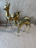 Solid Brass Vintage Doe Statues - Pair