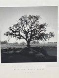 Ansel Adams Photography Prints - Fiat Lux Trilogy