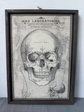 Mad Laboratories Framed Skull Hanging Halloween Decor