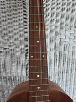 (B) Vintage 4-String Ukelele