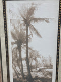 Equatorial Breeze Print by Thea Schrack; Signed
