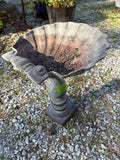 Cast Iron Shell Birdbath