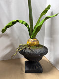 Artificial Amaryllis Flower In Urn