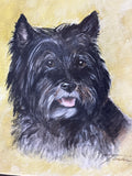 Portrait of Cairn Terrier; Signed Teri