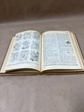 Pair Of Vintage Dictionaries