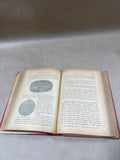Elementary Meteorology By R.H. Scott