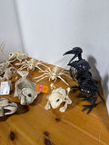 Halloween Animal Skeleton Lot - 10 Pieces