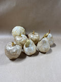 7 Piece Capiz Style Faux Fruit And Decor