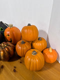 Pumpkin Lot - 10 Piece