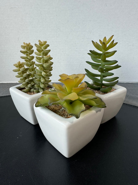 Trio of Faux Succulents in White Ceramic Pots